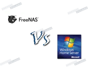 Freenas et Windows home server 2011-01