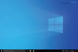 Quelle est la différence entre microsoft et windows