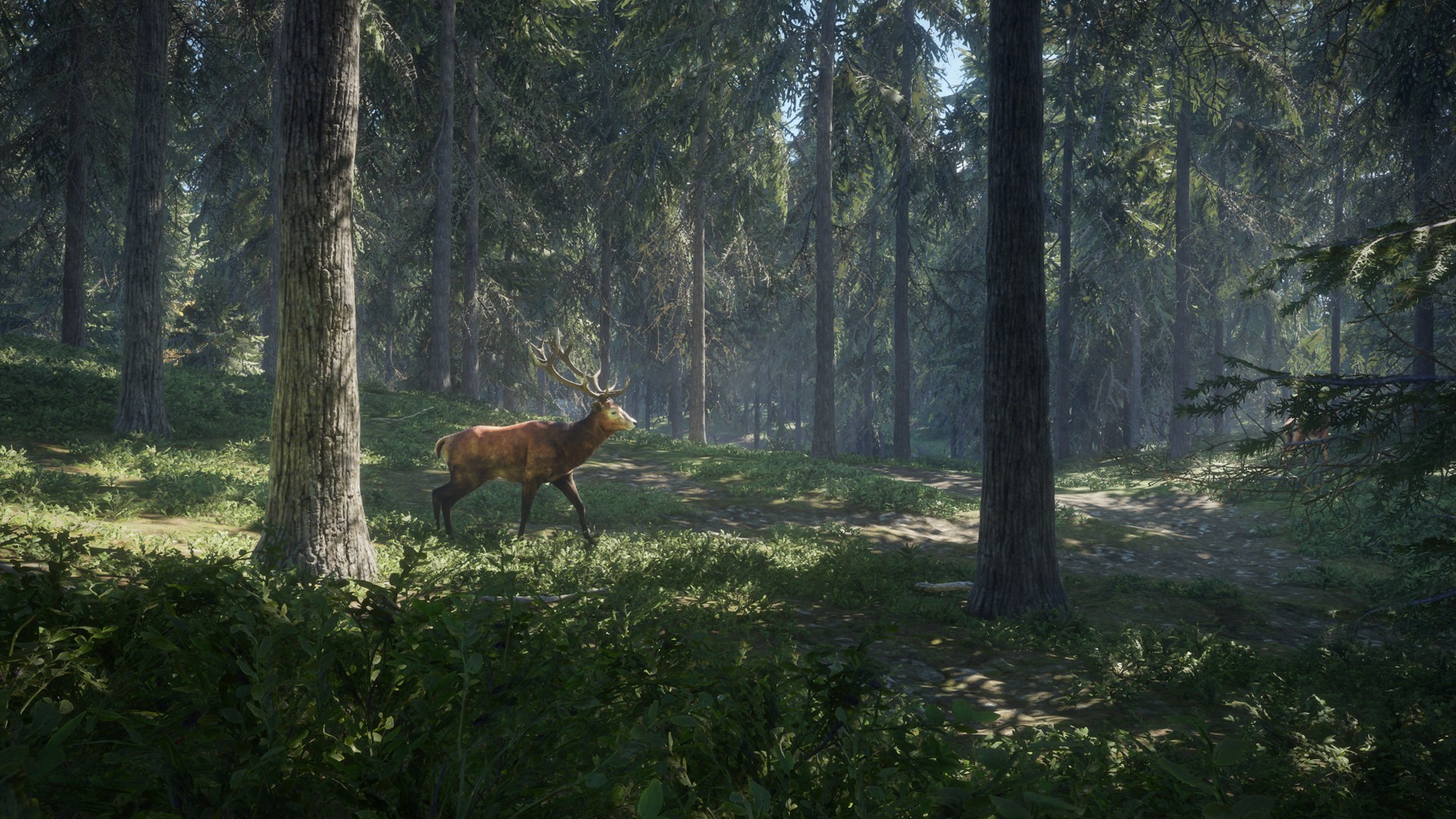 the hunter call of the wild pc multiplayer quests